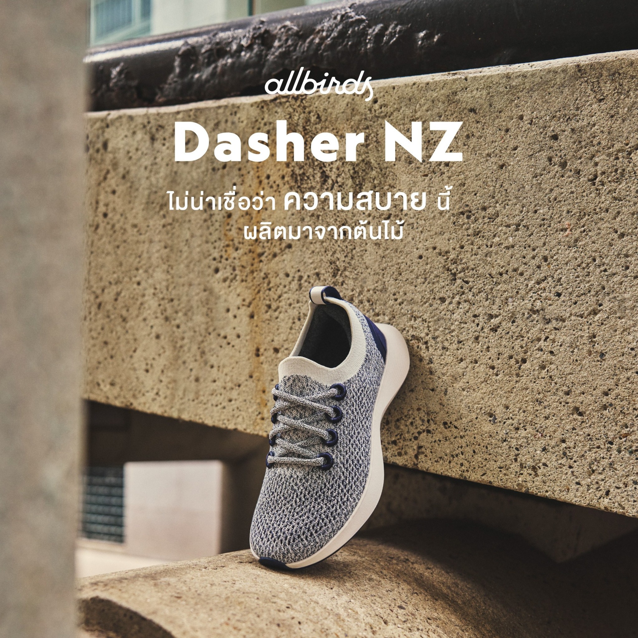 Allbirds Thailand Facebook ad: สัมผัสนวัตกรรมและความสบายจากธรรมชาติ Dasher NZ…