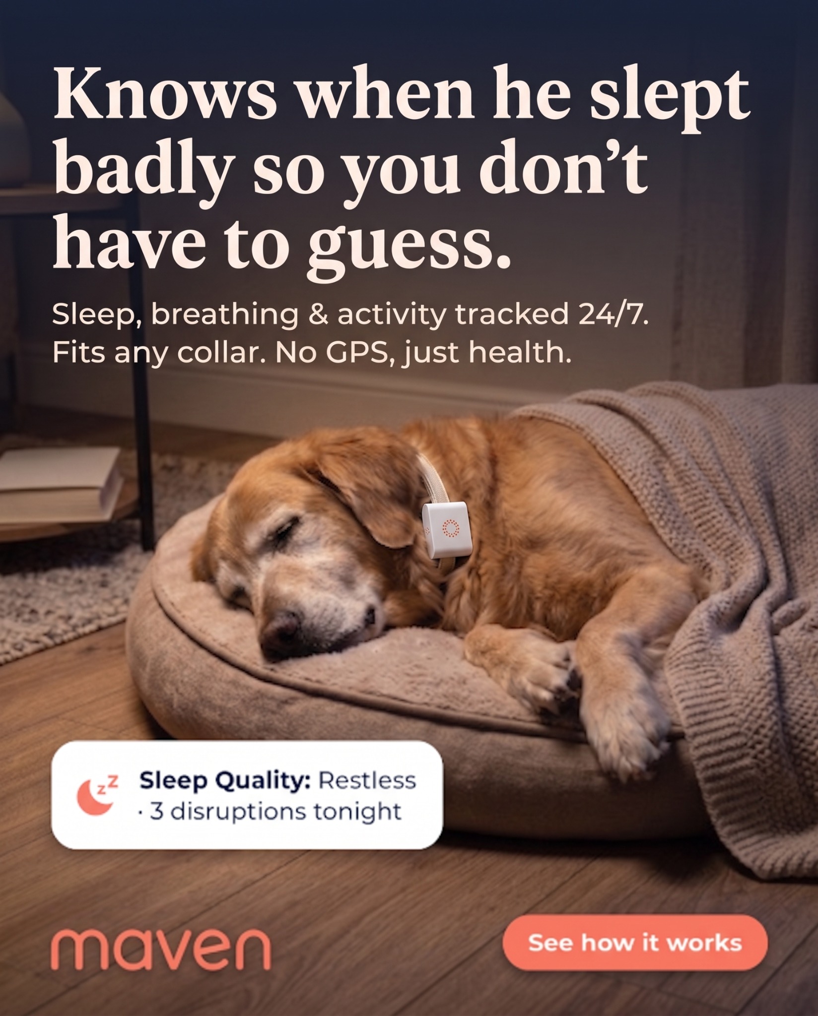 Maven Pet Facebook ad