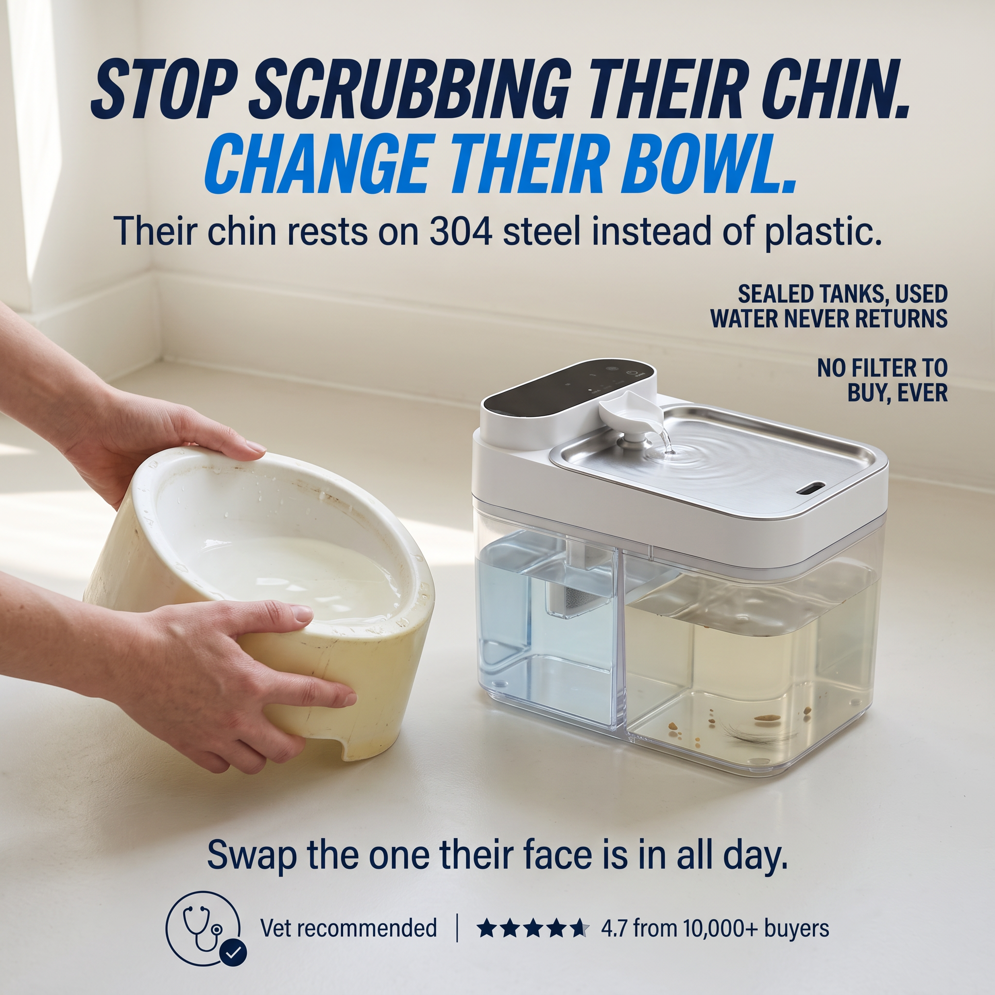 PureStream Facebook ad: Cat Acne Starts In The Water Bowl