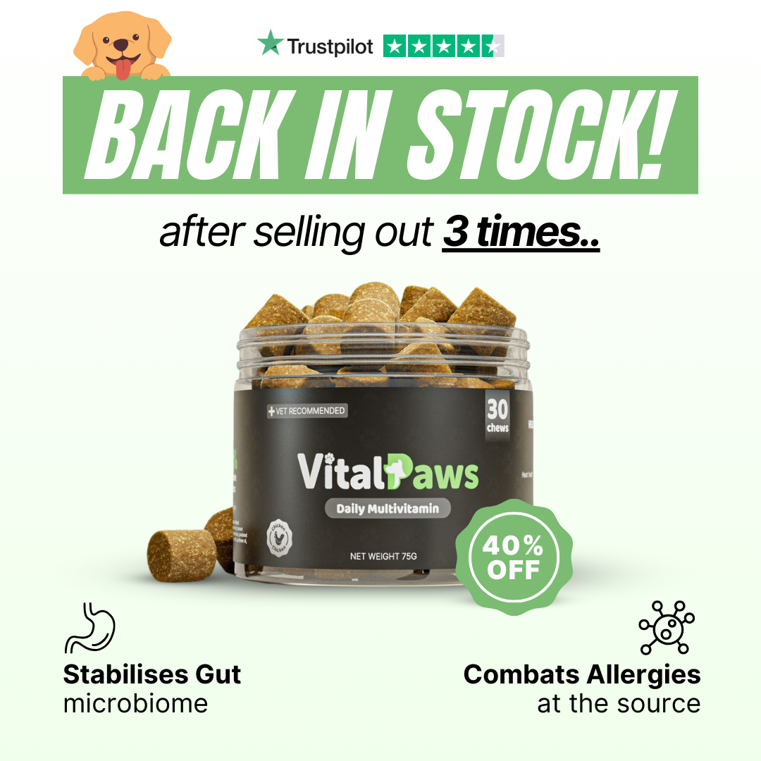 VitalPaws Facebook ad