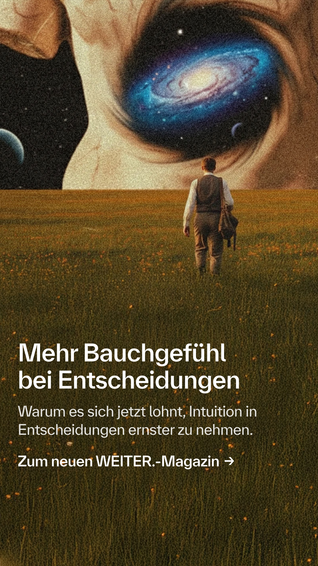 Haufe Akademie Facebook ad