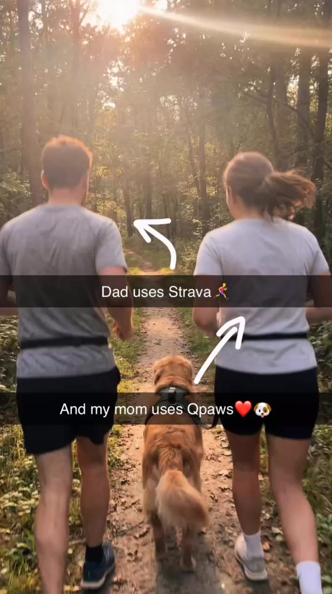 QPAWS Facebook ad: Social Dog Sports Hub! Connect & Track