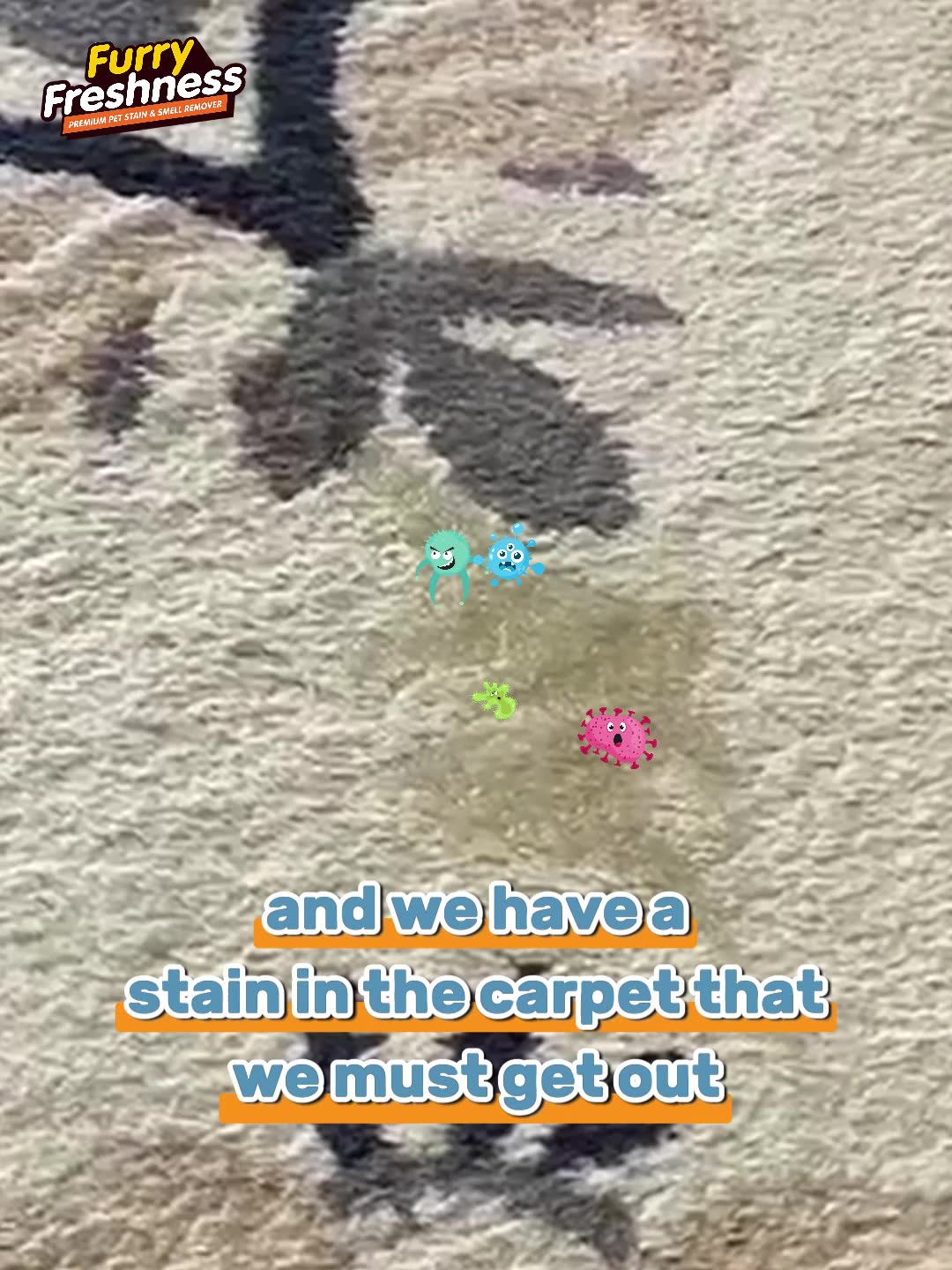 FurryFreshness Facebook ad: Permanently Removes Pet Stains and Odors!