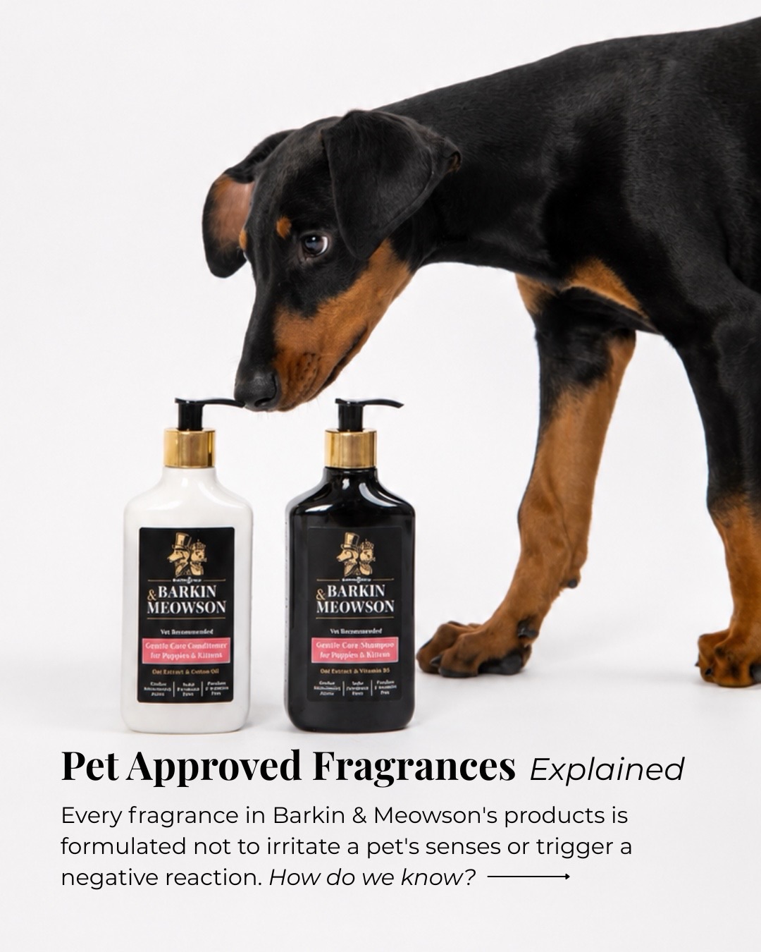 Barkin & Meowson Facebook ad: Formulating for the pets first - we don’t…