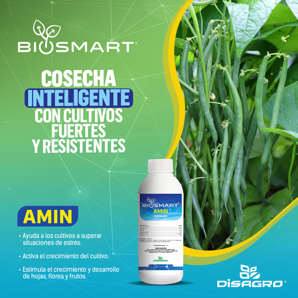 DISAGRO Nicaragua Facebook ad: Biosmart Amin - Disagro Nicaragua