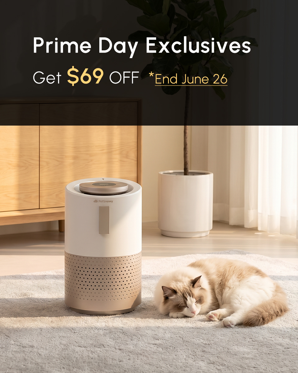 PetSnowy Facebook ad