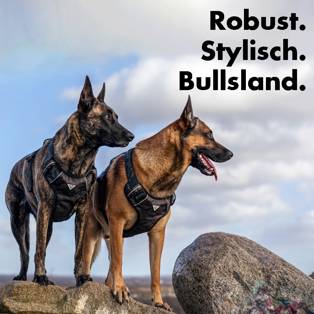 Bullsland Dogwear Facebook ad from Jul 29, 2026