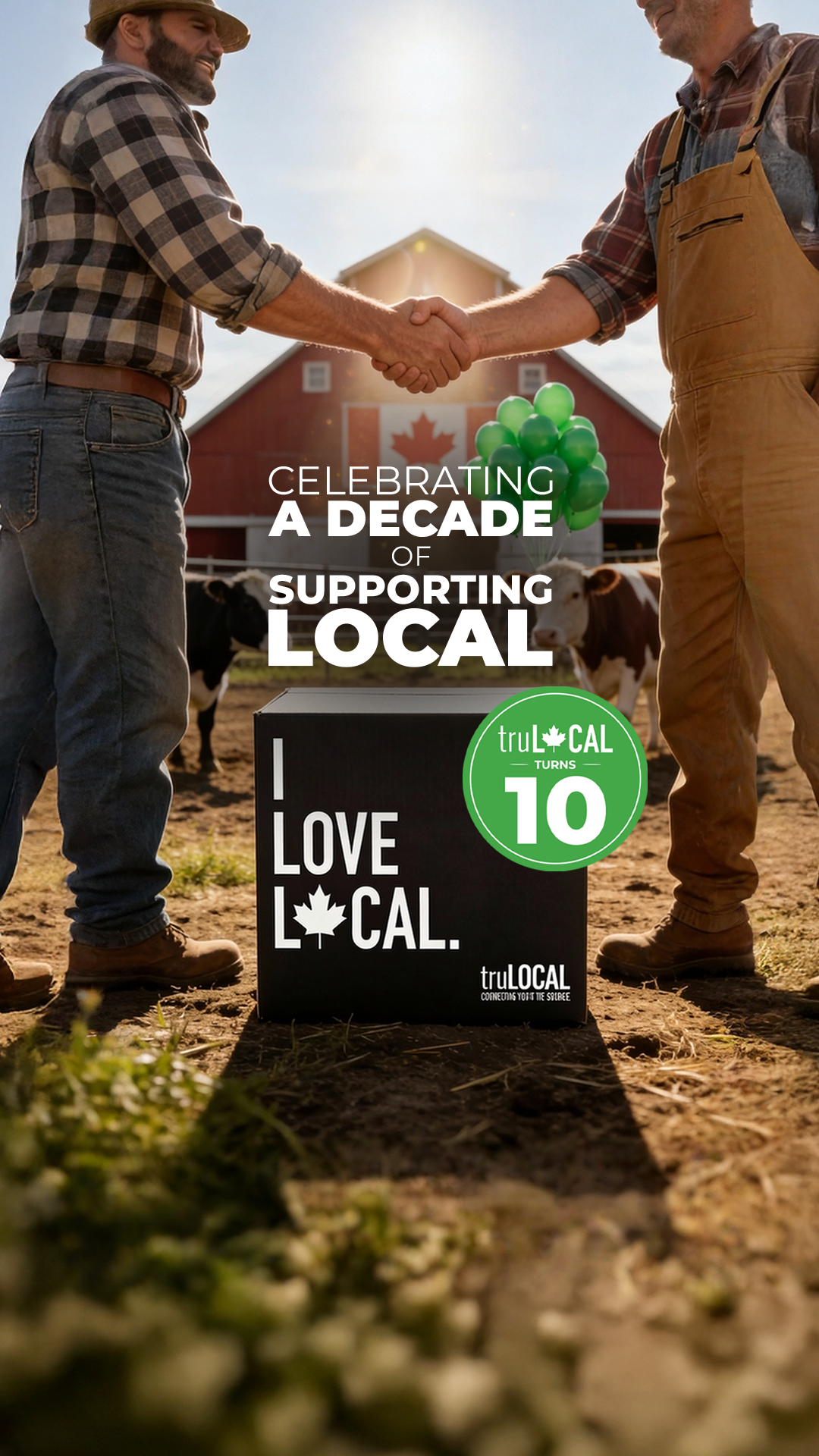 truLOCAL Facebook ad