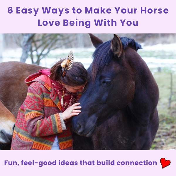 Horse Tricks 101 Facebook ad