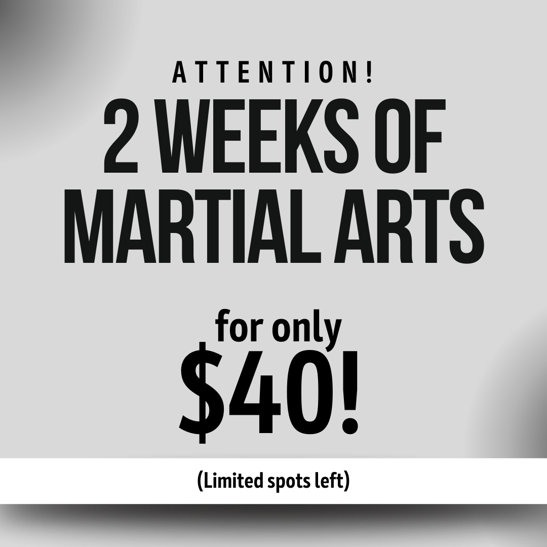 North Hills ATA Martial Arts Facebook ad
