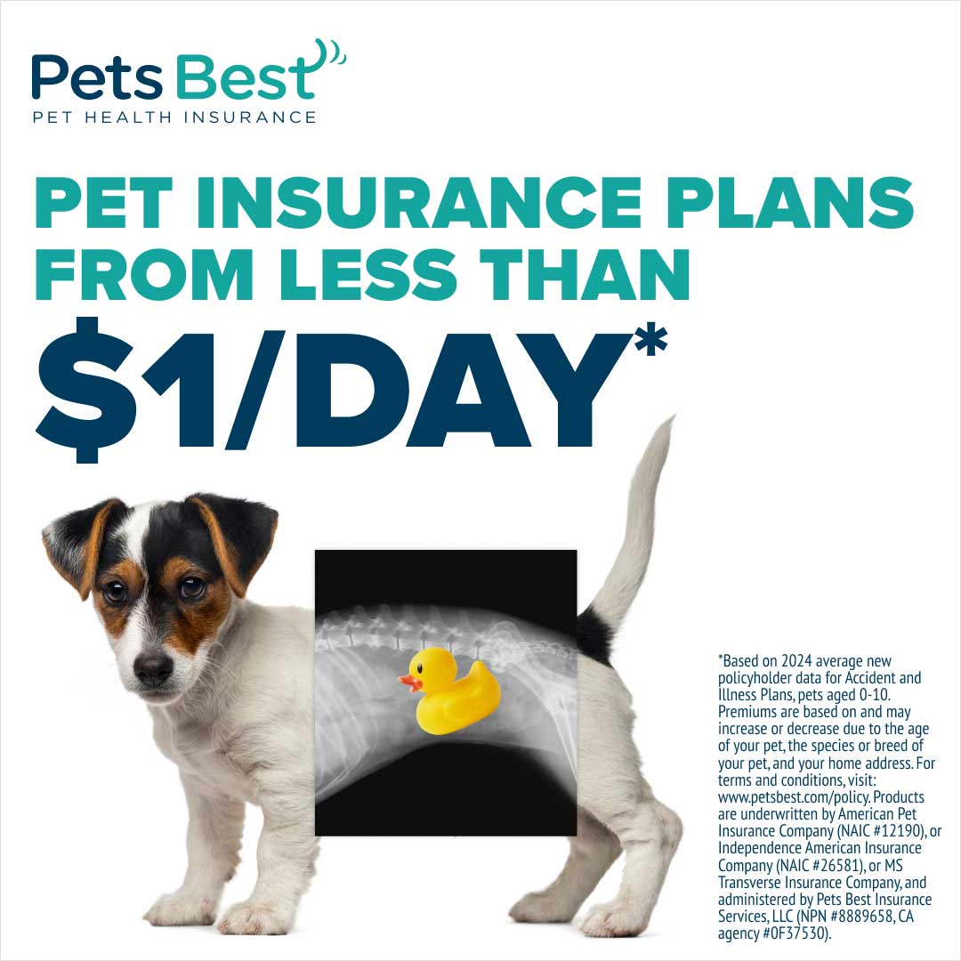 Pets Best Pet Health Insurance Facebook ad