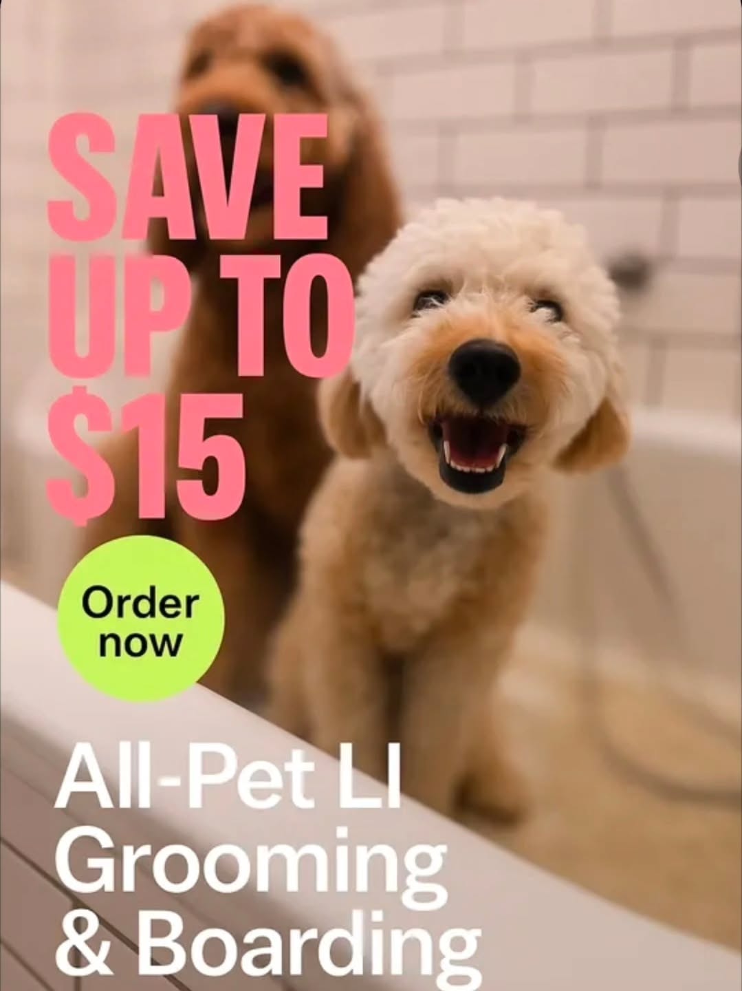All-Pet Groomery Facebook ad: Full Service Groomery - Miller Place, NY - All-Pet Groomery