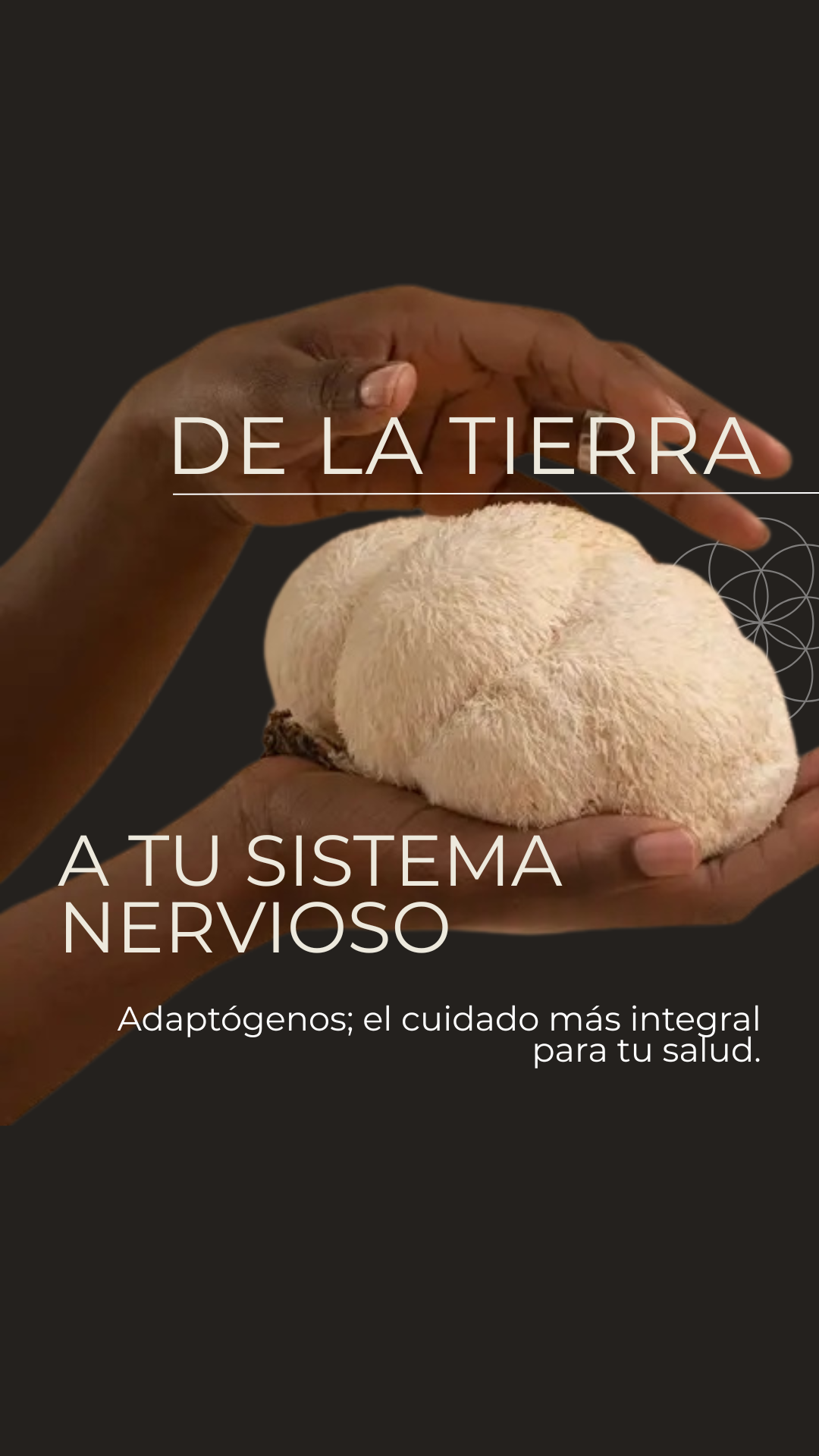 InterSer Facebook ad