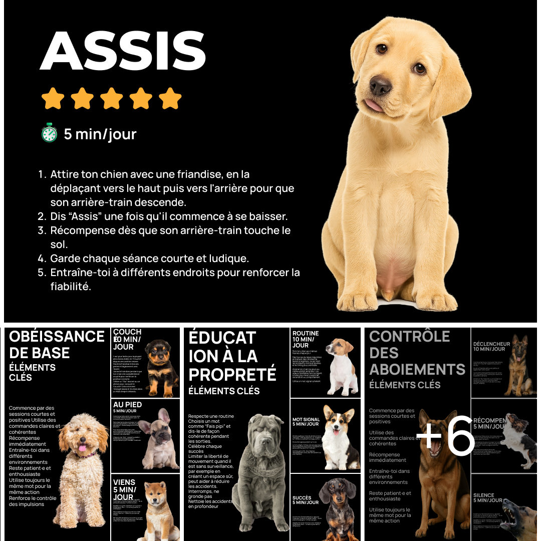 Dogo Facebook ad