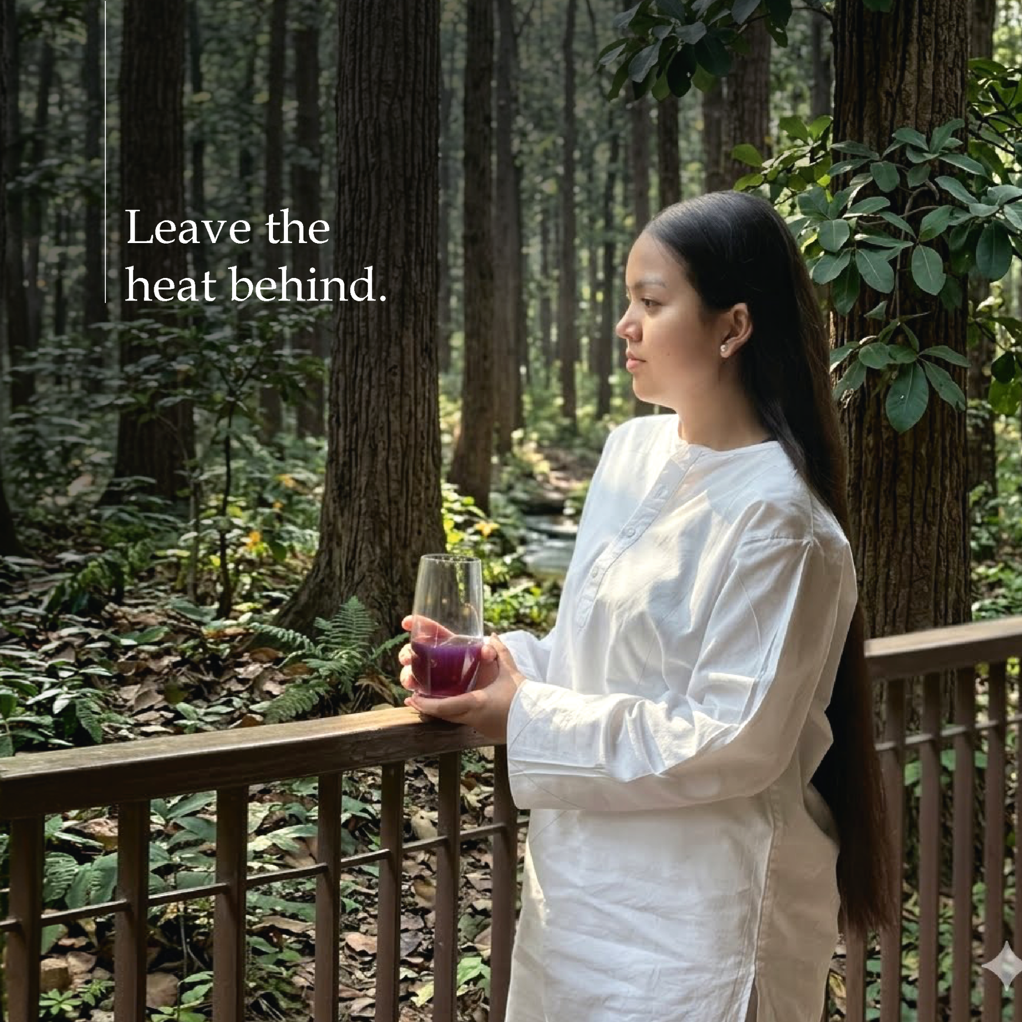 Six Senses Vana Facebook ad
