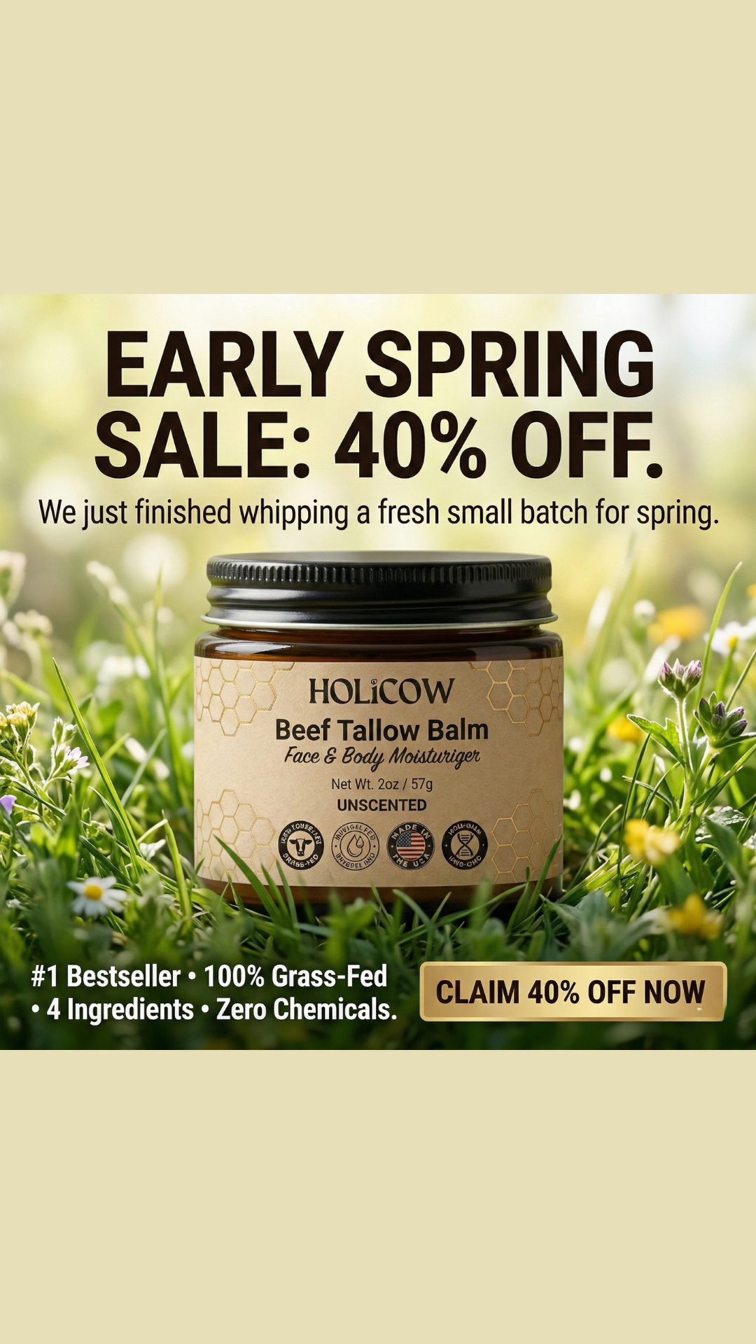 Holicow Facebook ad from Mar 2, 2026