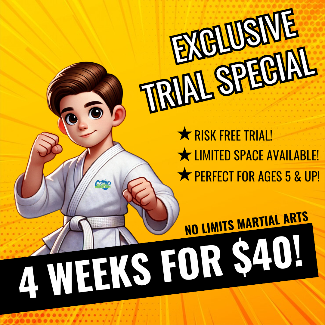 No Limits Martial Arts - Oakville Facebook ad
