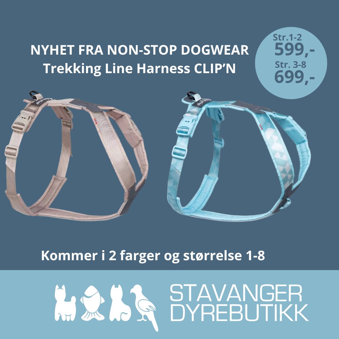 Stavanger Dyrebutikk Facebook ad