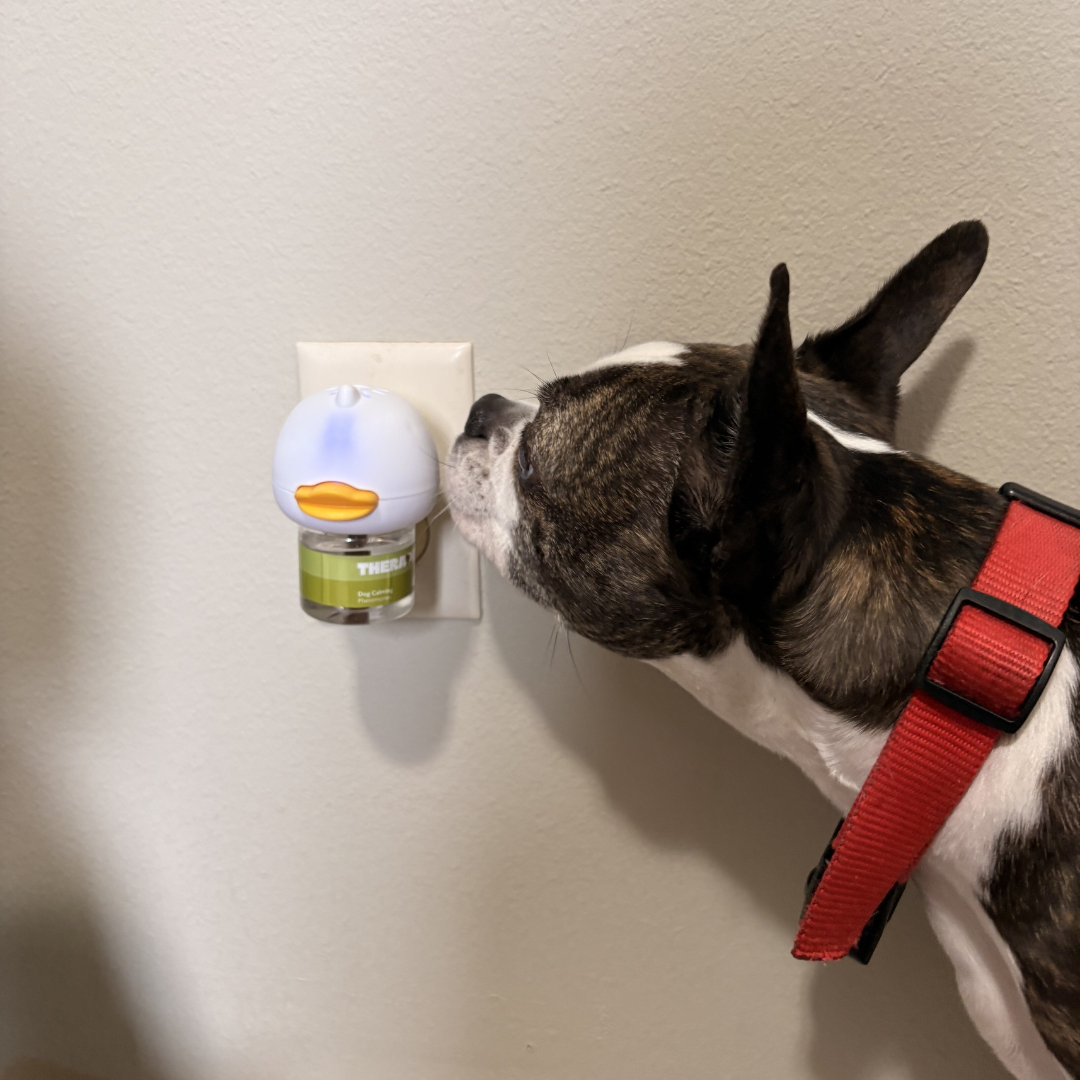 Vet approved products Facebook ad