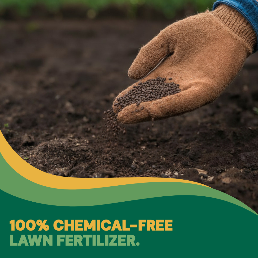 Mountainview Turfgrass Specialists Facebook ad