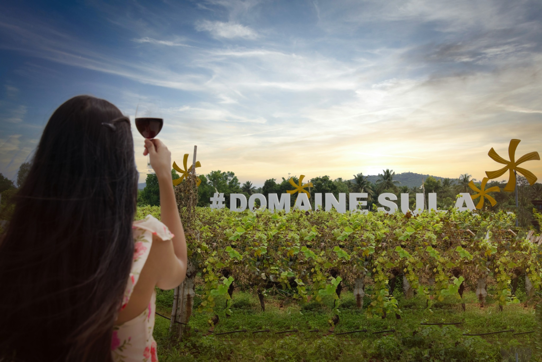 Sula Vineyards Facebook ad from Nov 5, 2025