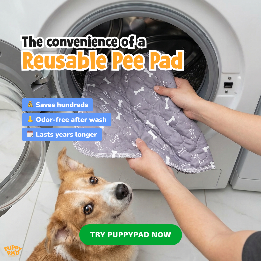 PuppyPad Facebook ad