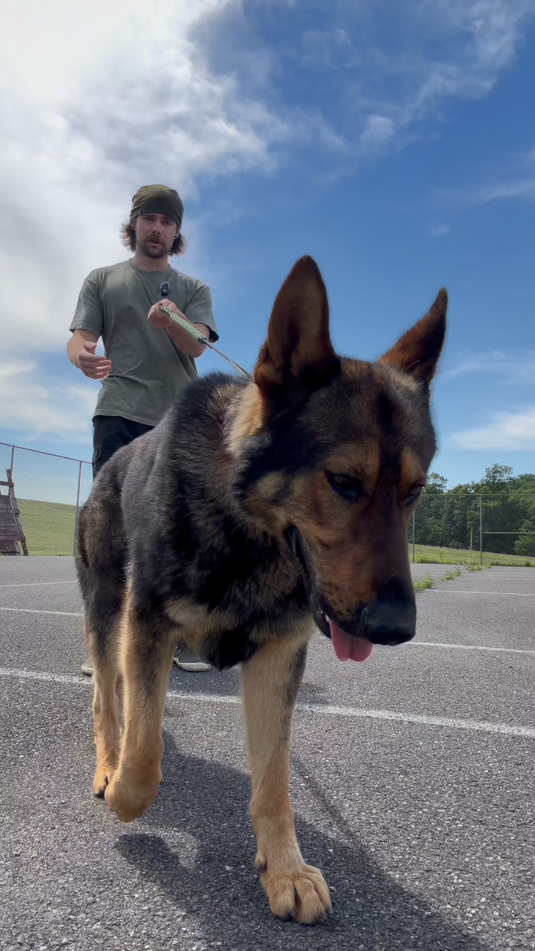 Dog Friendly Co. Facebook ad: Rated #1 By Dog Owners