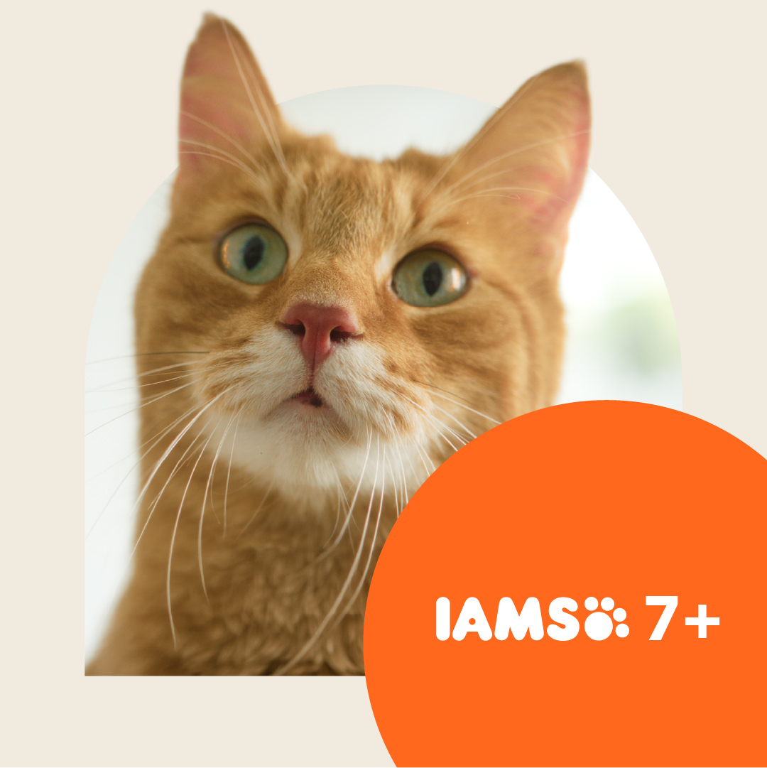IAMS UK Facebook ad