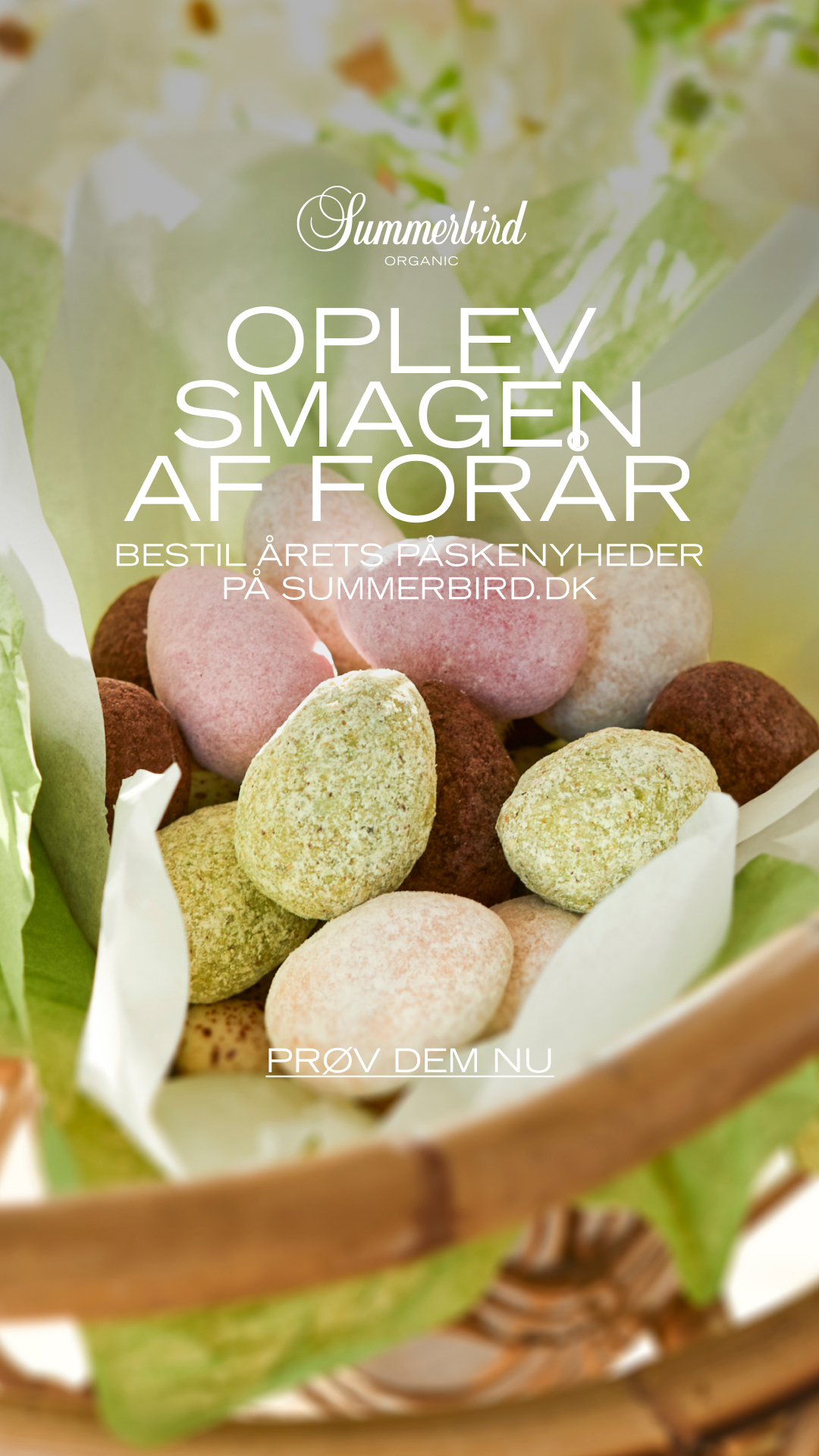 Summerbird Facebook ad