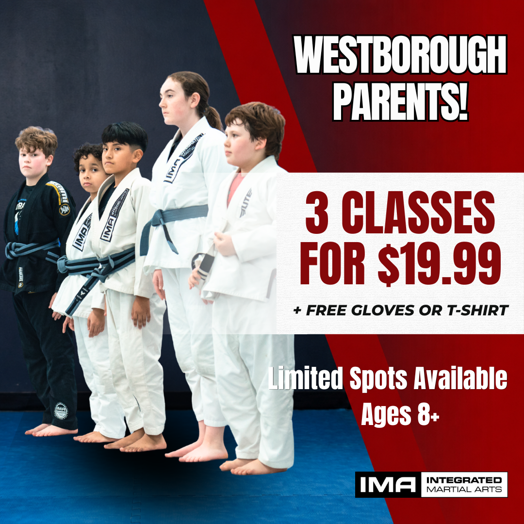 Integrated Martial Arts Westborough Facebook ad
