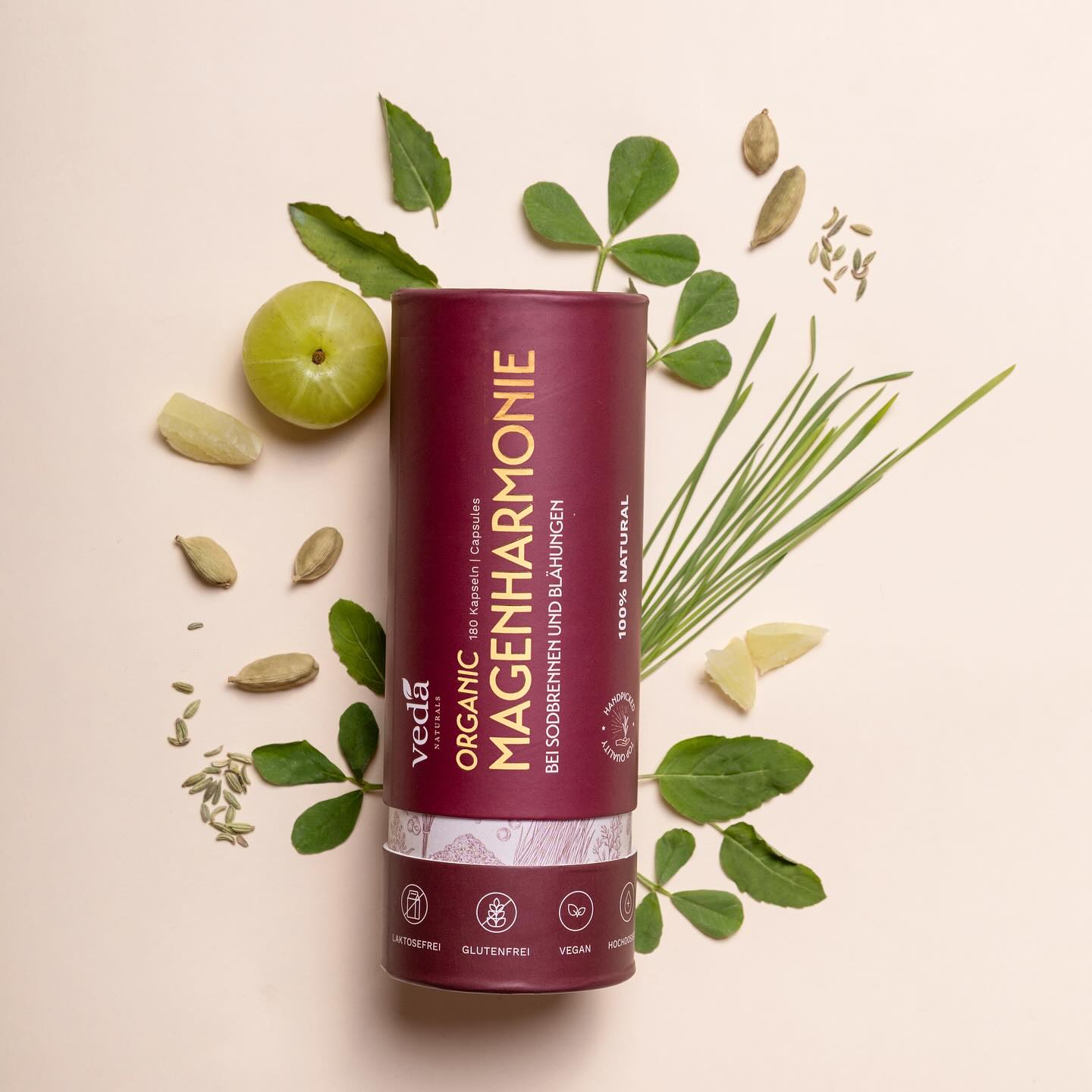 Veda Naturals Facebook ad: BIO MAGENHARMONIE, 6 Zutaten für dein Bauchwohl