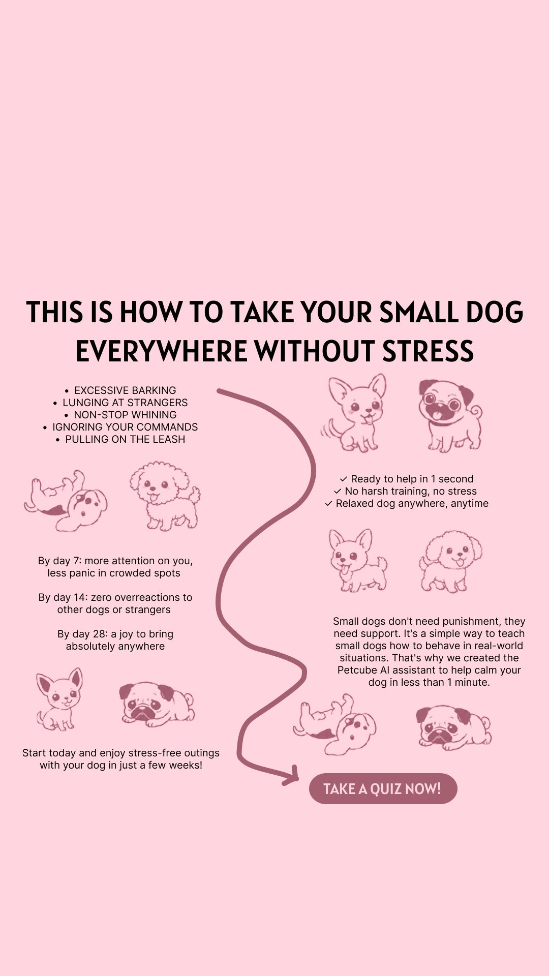 Petcube Facebook ad