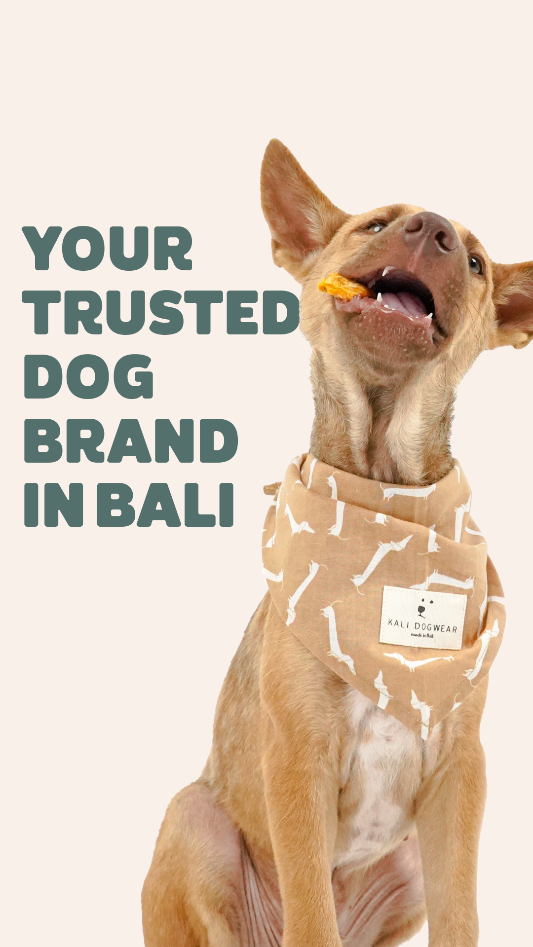 Kali Dogwear Facebook ad: Handmade in Bali, your favorite Dog Brand