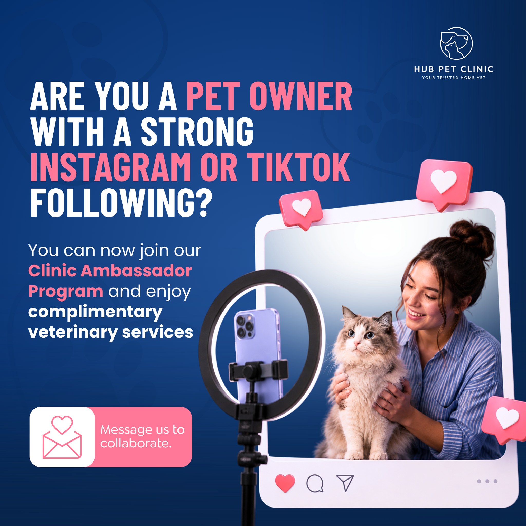 Hub Pet Veterinary Clinic Facebook ad