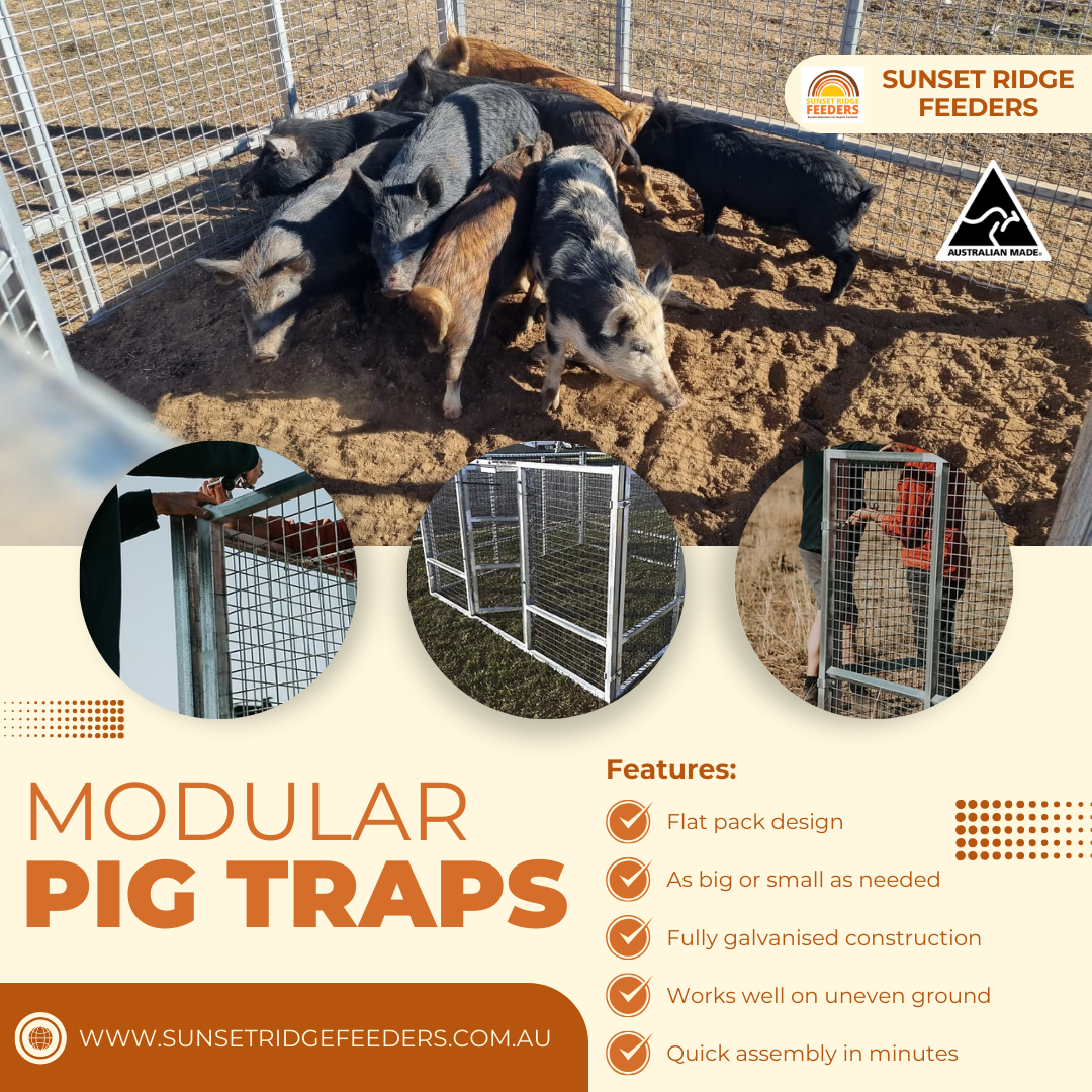 Sunset Ridge Feeders Facebook ad: Modular Pig Traps