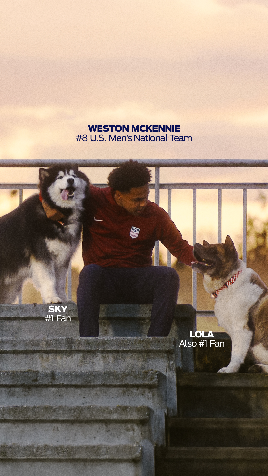 Purina Facebook ad