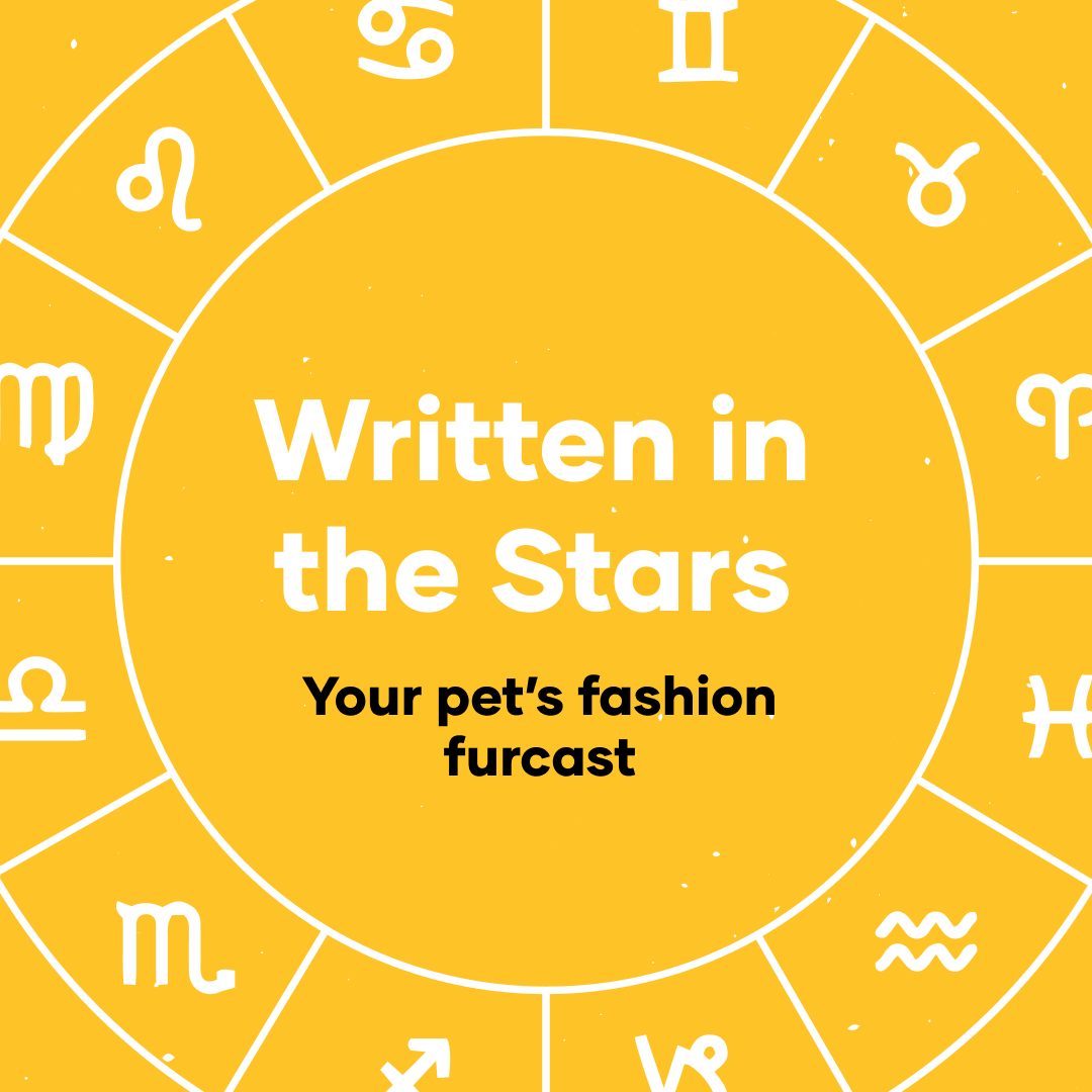 Petbarn Facebook ad