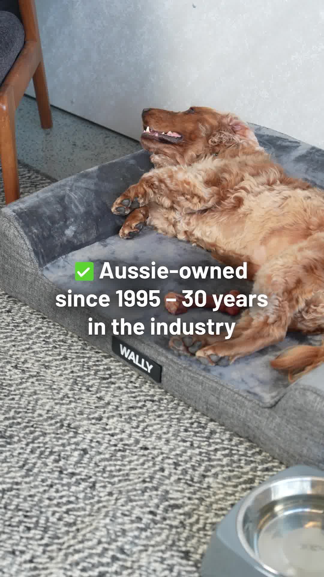 EzyDog Facebook ad from Jan 23, 2026