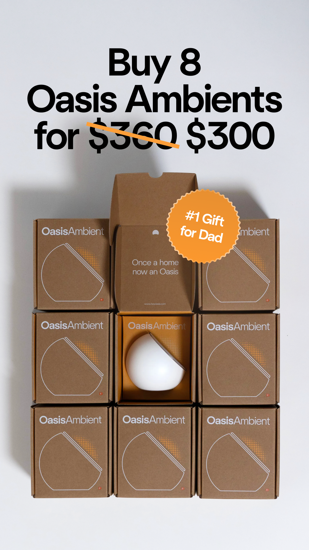 Oasis Lighting Facebook ad
