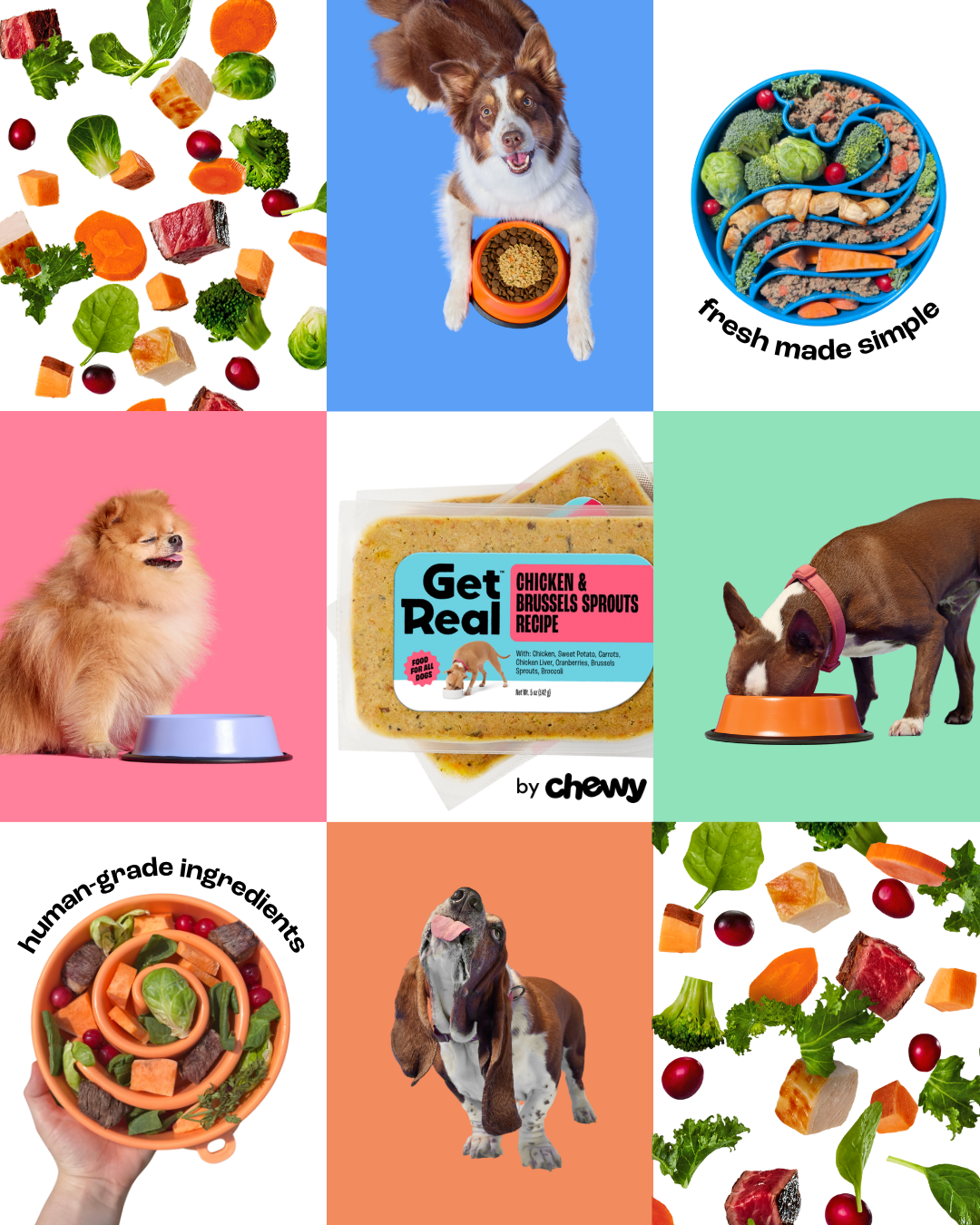 Chewy Facebook ad