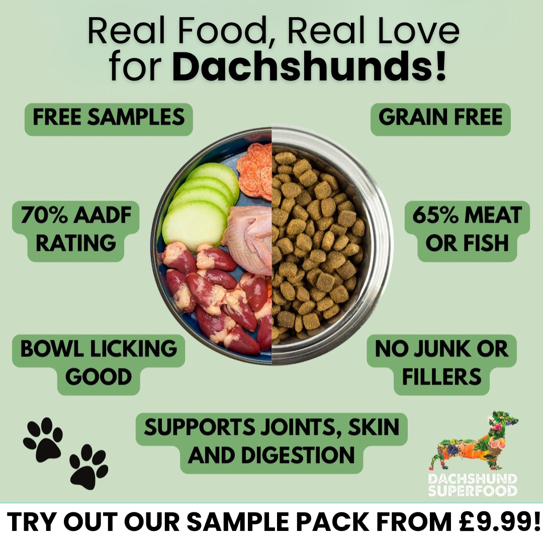 Dachshund Superfood Facebook ad