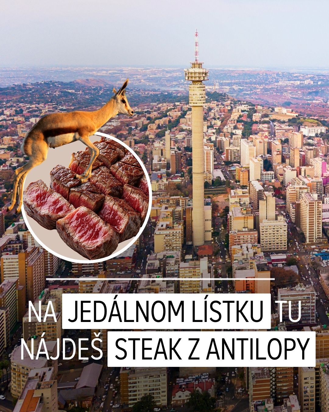 BUBO Facebook ad
