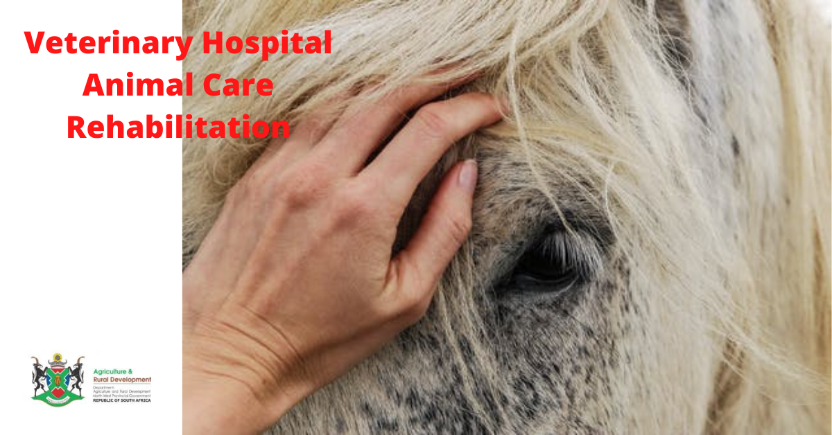 Makwassie Hill State Vet Facebook ad: Ganyesa State Vet