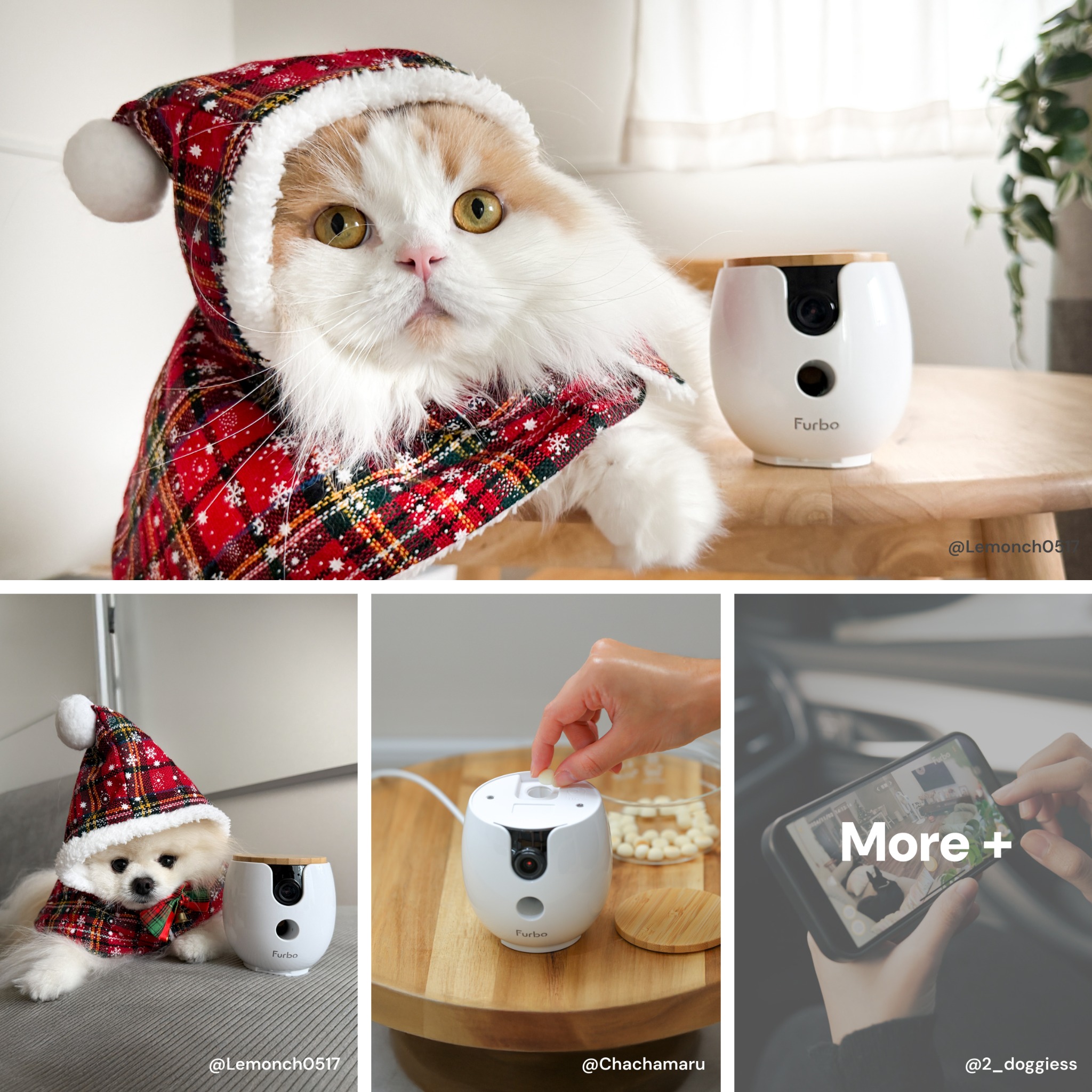 Furbo 寵物攝影機 Facebook ad