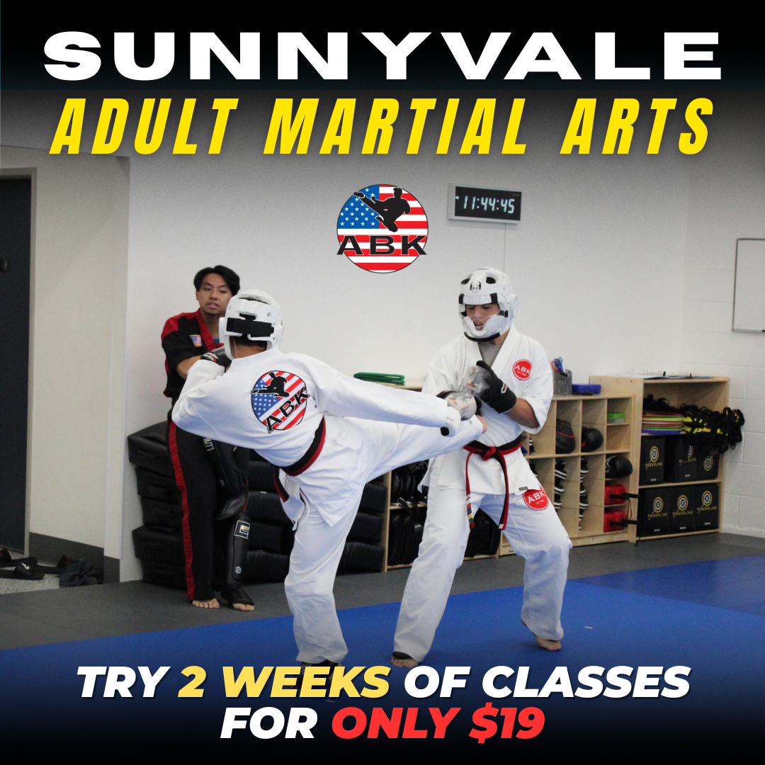 America's Best Karate - Sunnyvale Facebook ad: 2 Weeks of Martial Arts Classes for $19