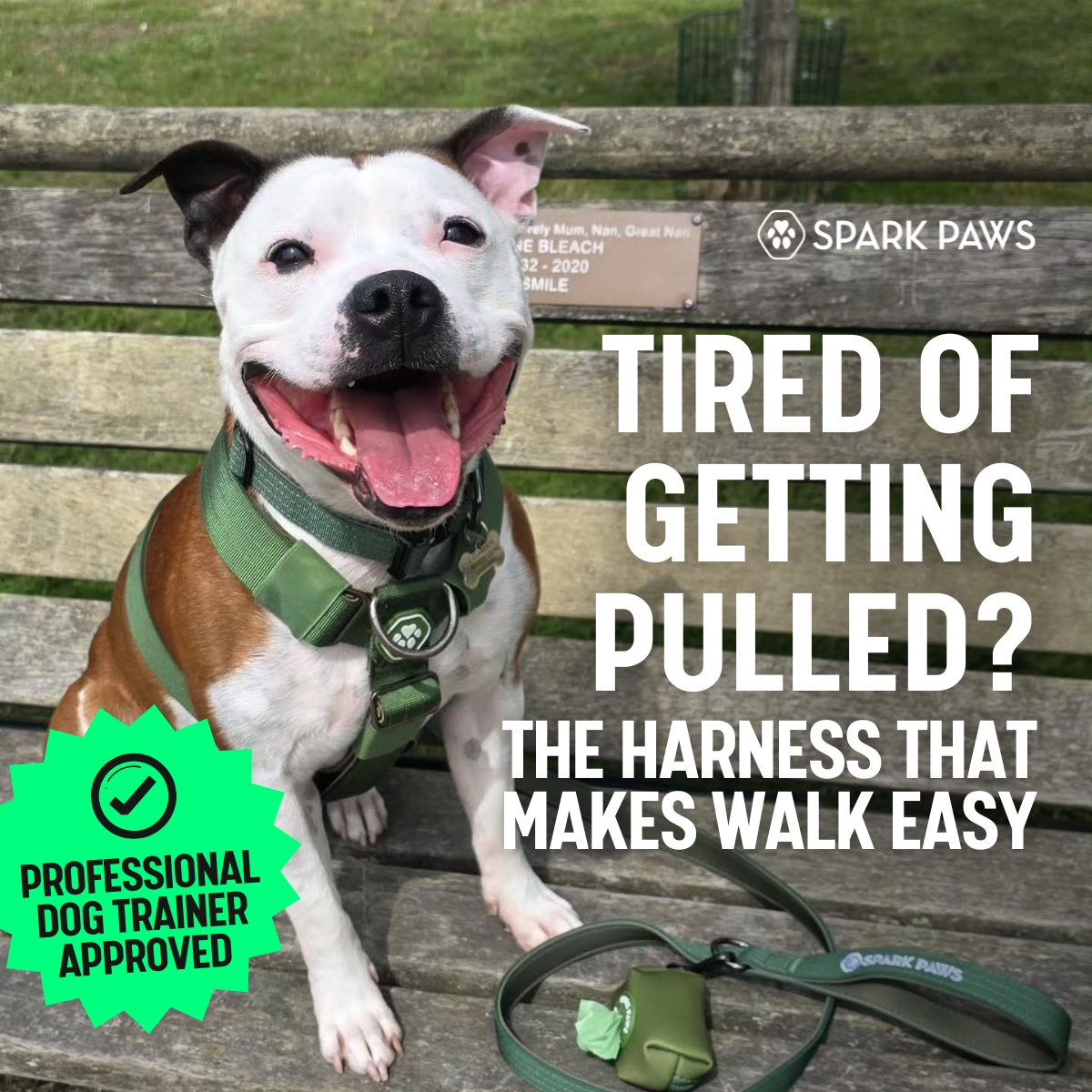 Spark Paws Facebook ad