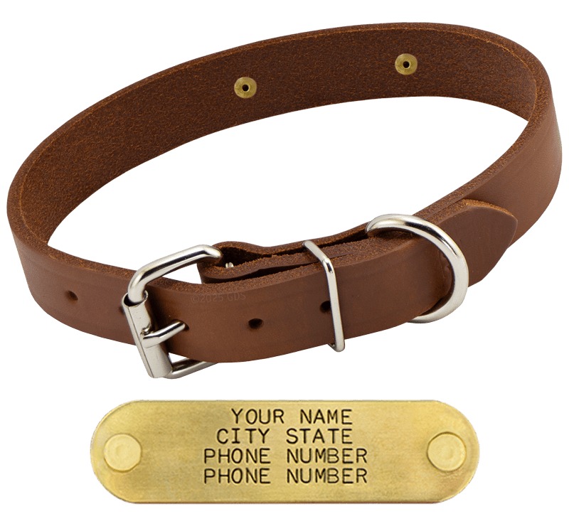 Gun Dog Supply Facebook ad