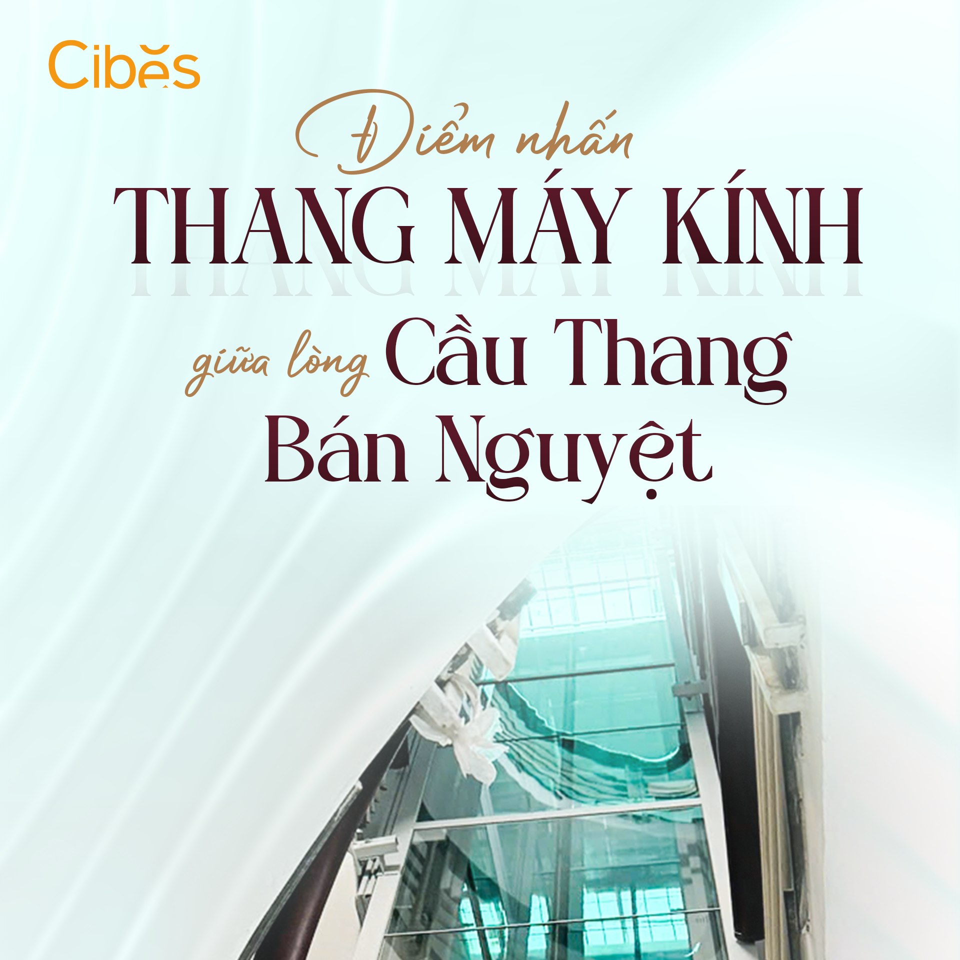 Cibes Lift Vietnam Facebook ad: Điểm nhấn thang máy kính giữa lòng cầu…