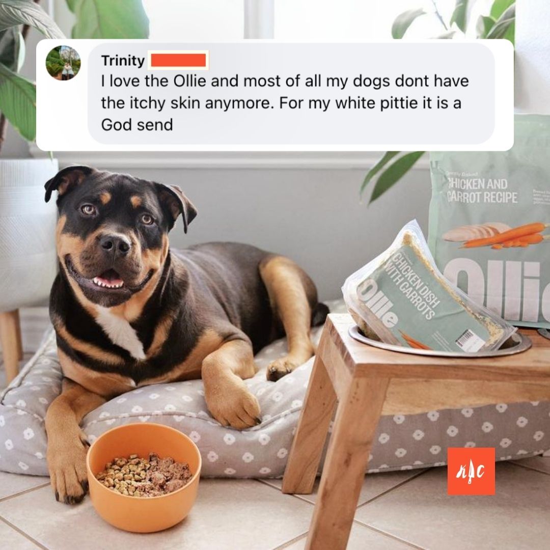 Kitchen Critic Facebook ad