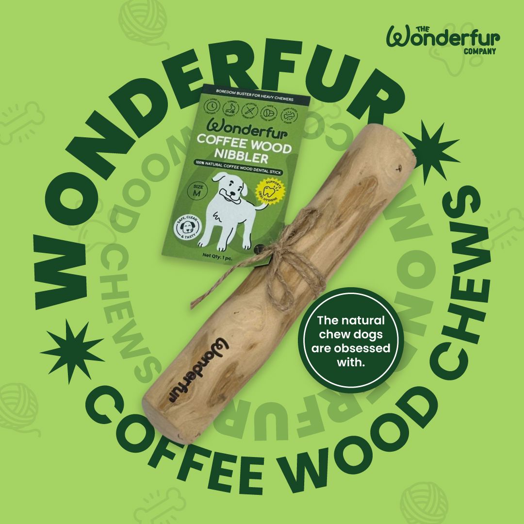 Wonderfurcompany Facebook ad from Mar 4, 2026